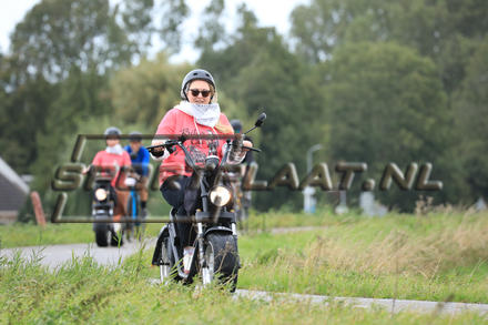 YZ10460.jpg